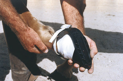 Ботинок для копыта полиуретановый рр до Ø 160 мм