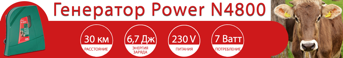 Генератор Power N4800 (230В)